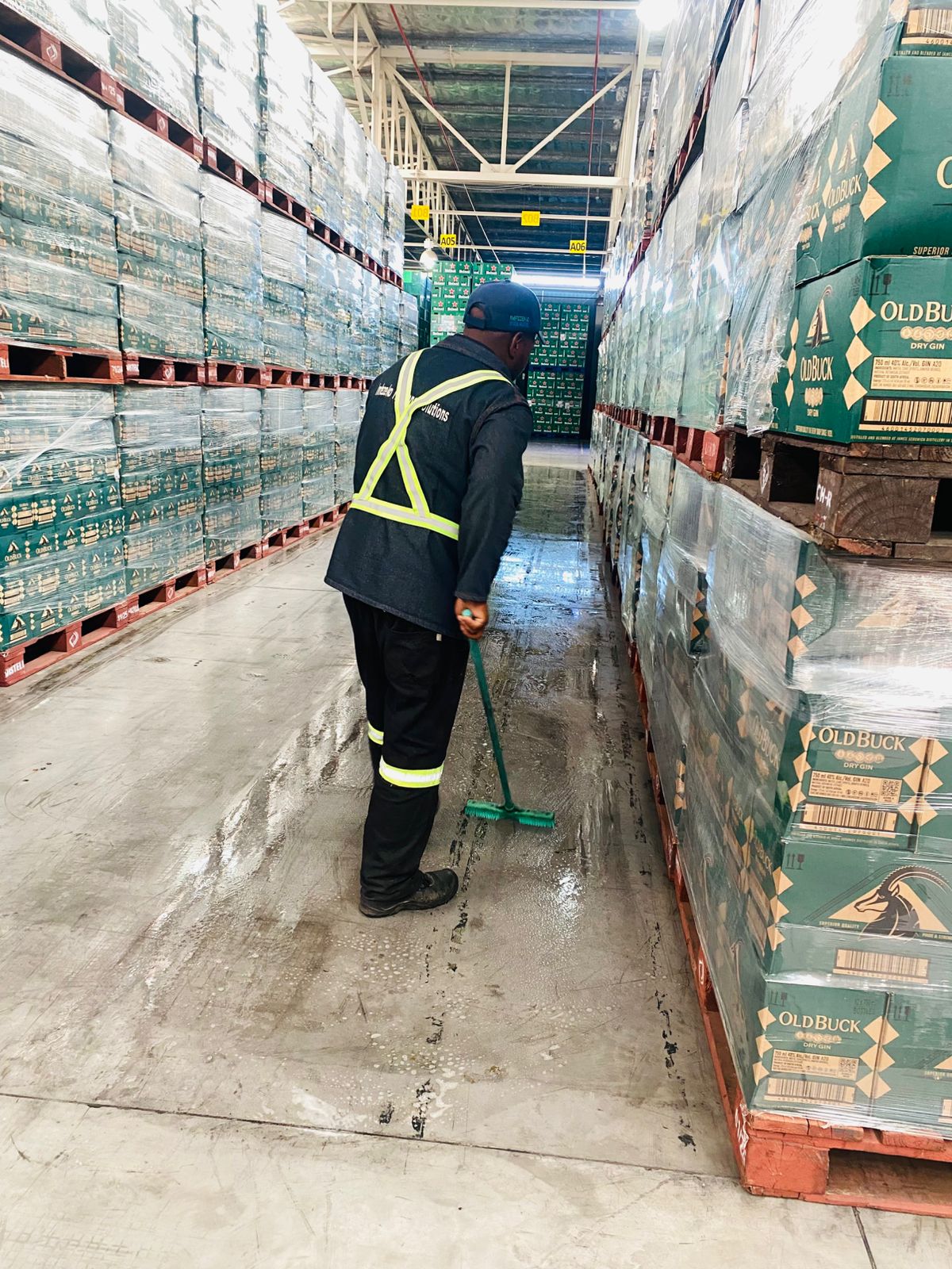 Professional Cleaning Staff